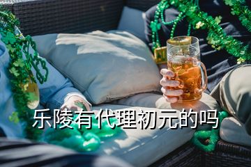 樂(lè)陵有代理初元的嗎