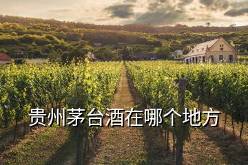 貴州茅臺酒在哪個(gè)地方