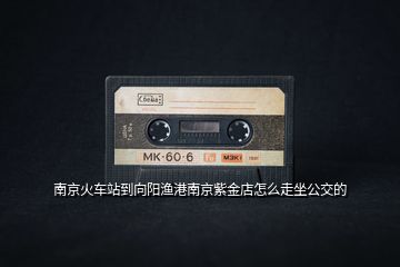 南京火車站到向陽漁港南京紫金店怎么走坐公交的