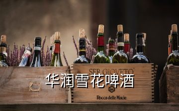  華潤(rùn)雪花啤酒