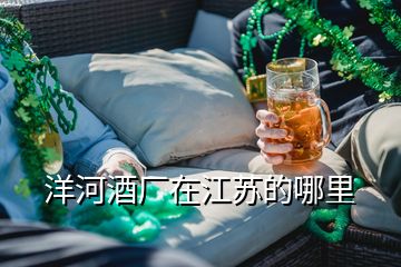 洋河酒廠在江蘇的哪里