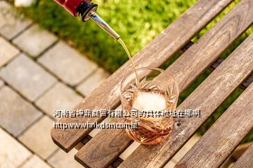 河南省坤鼎商貿有限公司的具體地址在哪啊httpwwwhnkdsmcom是