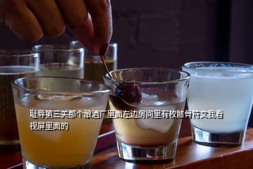 恥辱第三關(guān)那個釀酒廠里面左邊房間里有枚骸骨符文我看視屏里面的