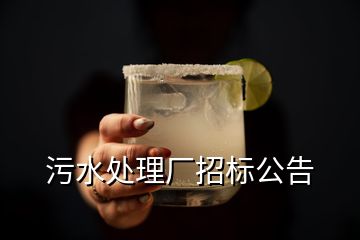 污水處理廠招標公告