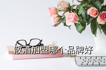 散酒加盟哪個(gè)品牌好