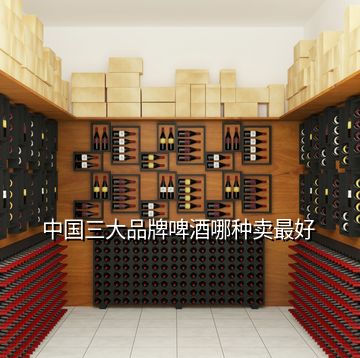 中國(guó)三大品牌啤酒哪種賣(mài)最好