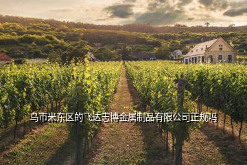 烏市米東區(qū)的飛達志博金屬制品有限公司正規(guī)嗎