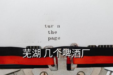 蕪湖 幾個啤酒廠
