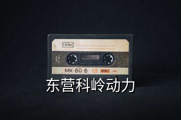 東營科嶺動(dòng)力