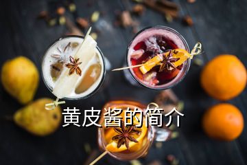 黃皮醬的簡(jiǎn)介