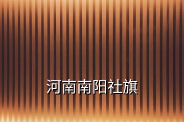 河南南陽社旗