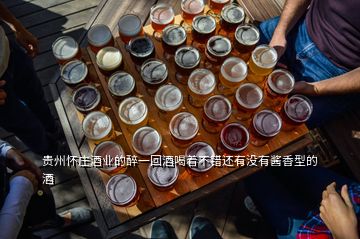 貴州懷莊酒業(yè)的醉一回酒喝著不錯(cuò)還有沒(méi)有醬香型的酒
