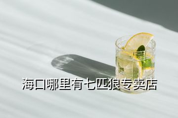 ?？谀睦镉衅咂ダ菍Ｙu店