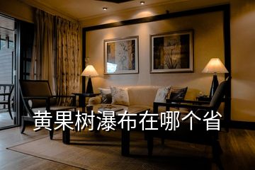 黃果樹(shù)瀑布在哪個(gè)省