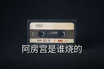 阿房宮是誰燒的