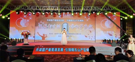 論壇：中國(guó)葡萄酒產(chǎn)區(qū)崛起需要哪些重要力量？