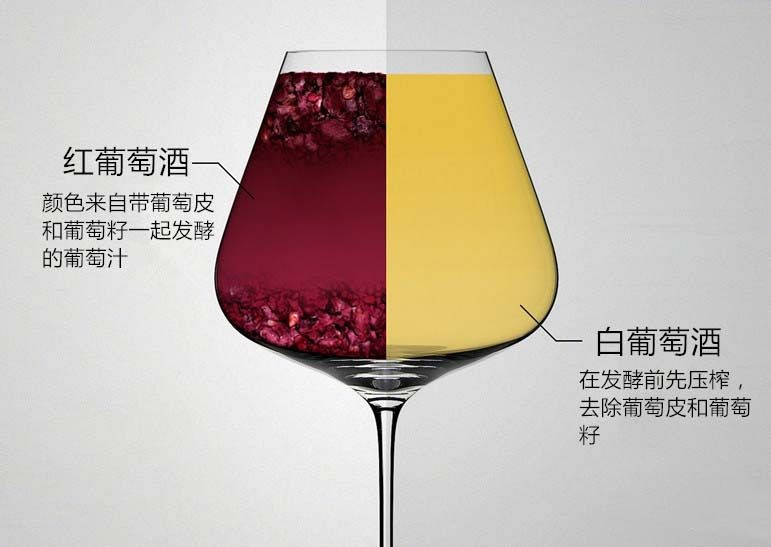 剛開始喝紅酒選哪種？初次喝紅酒先喝白葡萄酒