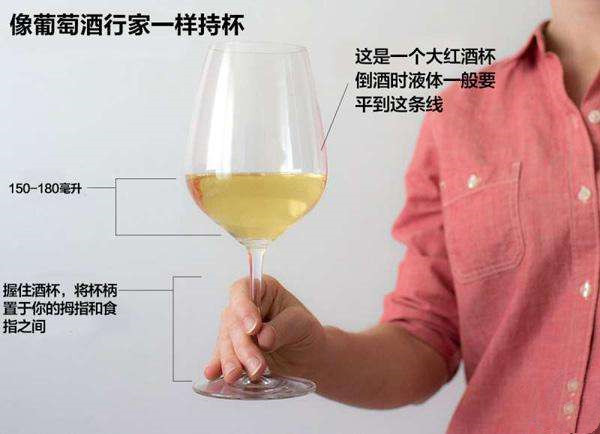 正確的端紅酒杯是怎樣的？為什么要搖晃酒杯呢？