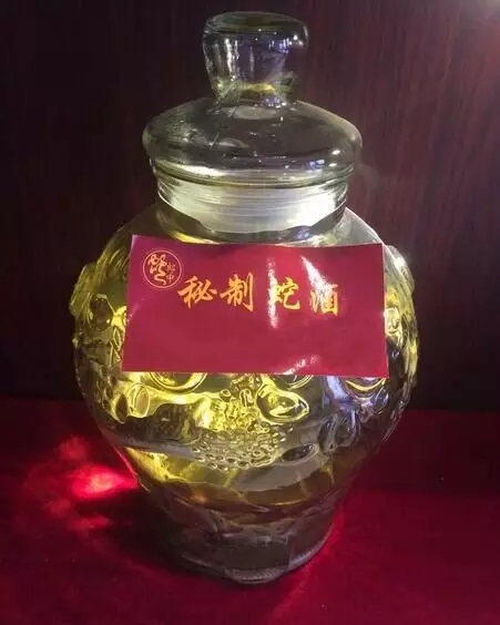 三蛇酒多少錢一瓶，龍山三蛇酒價(jià)格表