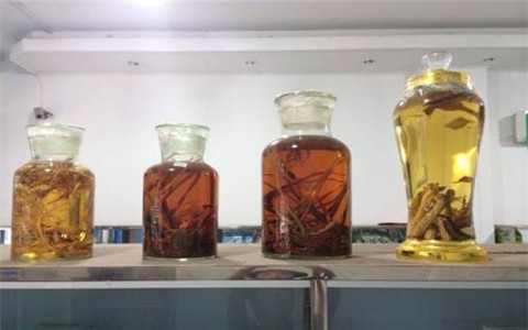 祛寒養(yǎng)生一般用什么藥酒好？這幾種藥酒值得信賴