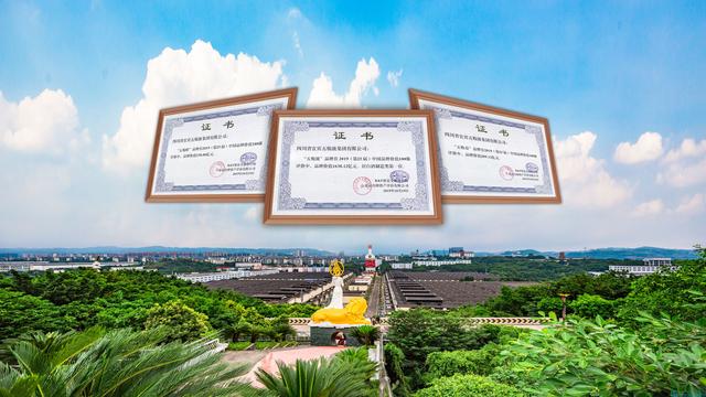 愛(ài)爾蘭第十一屆歐洲論壇，五糧液以1638.12億元的品牌價(jià)值位列榜單第三位
