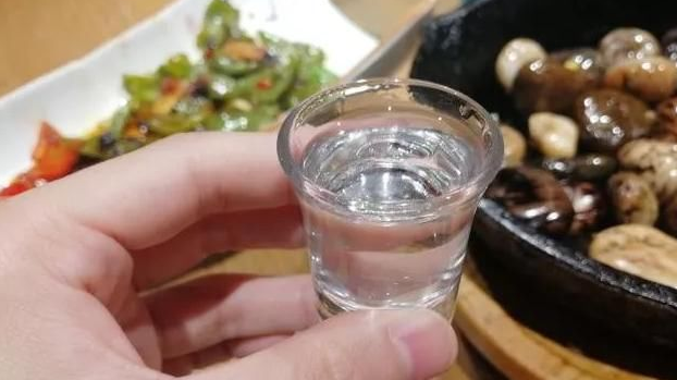 酒桌上酒司令和知客是指什么？