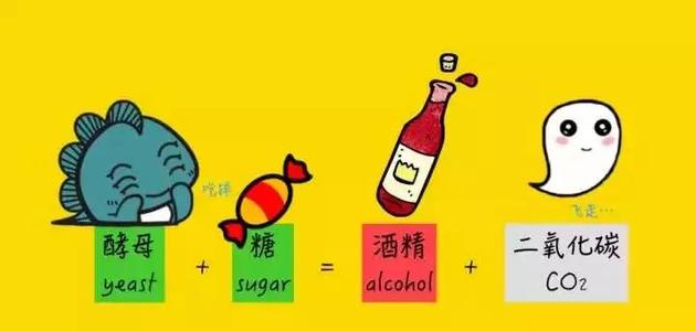 紅酒多少度？是什么影響紅酒的度數(shù)？