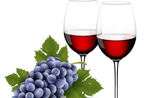 德國(guó)什么紅酒最好？德國(guó)最好的紅酒是雷司令