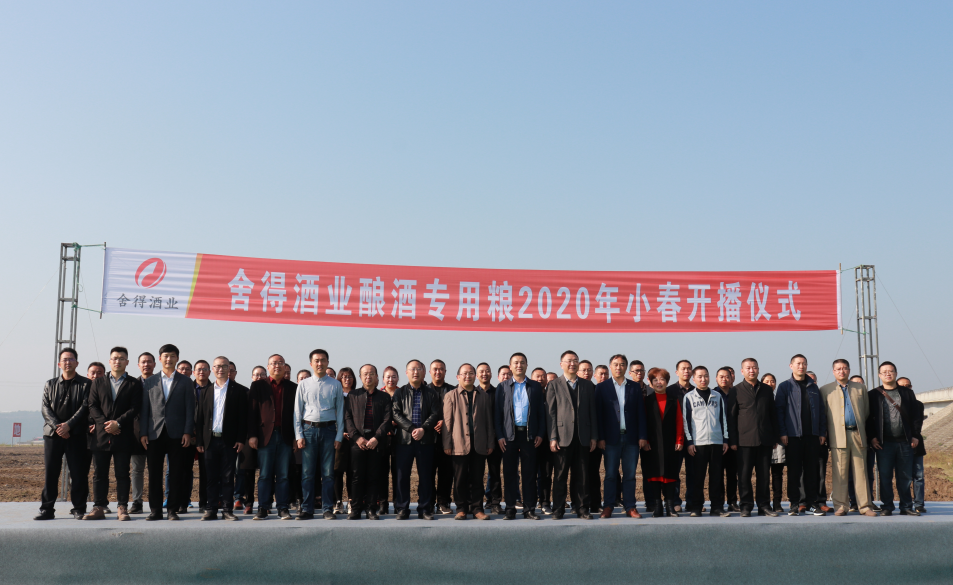 舍得酒業(yè)釀酒專(zhuān)用糧基地2020年小春開(kāi)播！