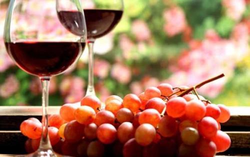 紅酒是什么材料釀的？釀紅酒的葡萄品種有哪些？