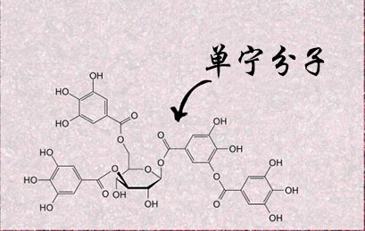 紅酒單寧是什么意思？不同紅酒中的單寧含量是多少？