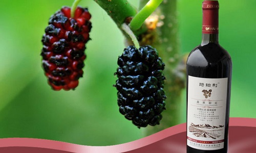 桑葚能反復(fù)泡酒嗎？桑葚酒泡幾遍比較好？