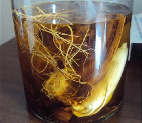 狗鞭怎么泡酒，狗鞭泡酒選材