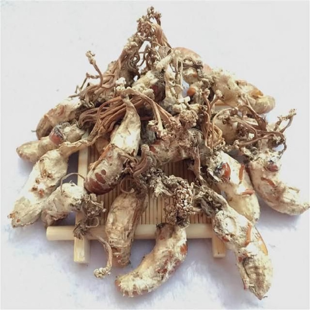 金蟬花可以泡酒嗎？金蟬花的泡酒方法