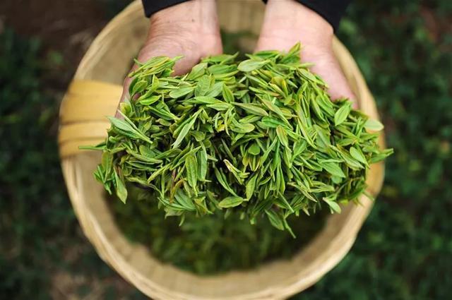 今年茅臺(tái)前景如何？
