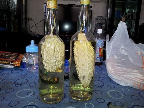 苦瓜酒怎么泡？苦瓜酒有什么功效？
