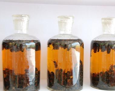 麝香酒有什么功效？如何用麝香泡酒？