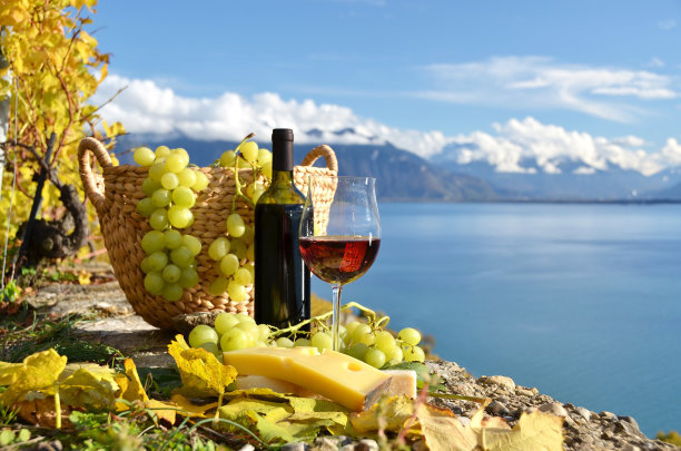干紅葡萄酒可以放糖嗎？葡萄酒哪種比較甜