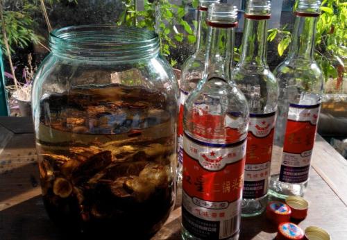 為什么要用高度酒泡藥酒？低度酒可以泡藥酒嗎？