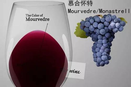 慕合懷特葡萄酒怎么樣？慕合懷特葡萄酒酒精度比較高。
