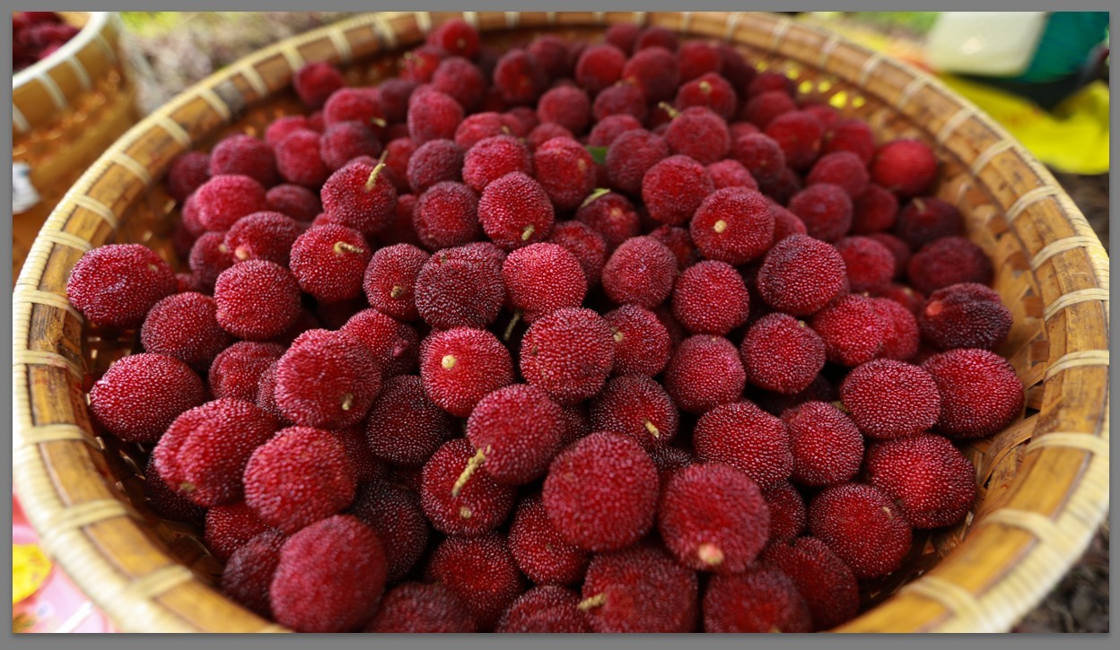 楊梅酒可以放紅糖嗎？楊梅酒有什么品質(zhì)要求