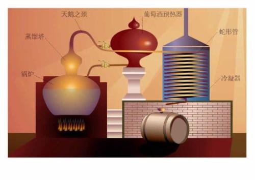 干邑是如何釀造的？釀造干邑的葡萄是哪種？