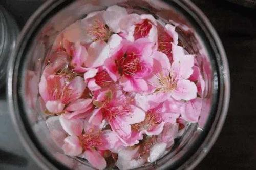 干桃花可以泡酒嗎？干桃花泡酒有什么好處