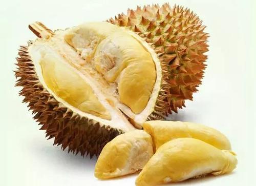 榴蓮和啤酒一起吃油什么后果？吃完榴蓮多久能喝啤酒？