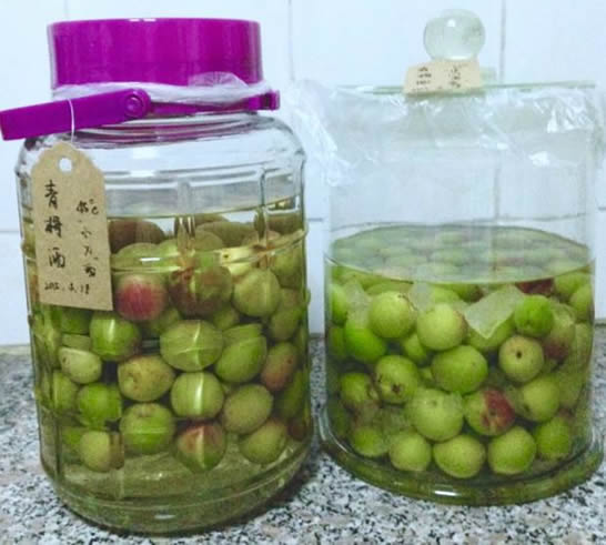女人常飲青梅酒有什么好處？女人常飲青梅酒的4個好處