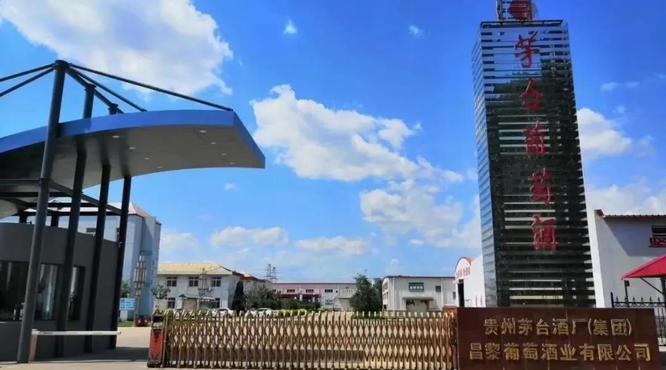 茅臺(tái)葡萄酒公司持續(xù)開(kāi)展“三找”大討論活動(dòng)