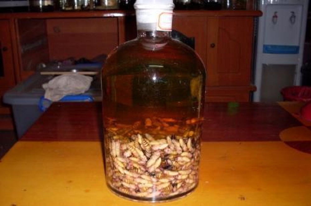 蜂蛹泡酒的方法，功效有哪些