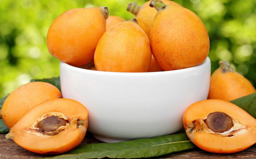 枇杷可以釀酒嗎？如何制作枇杷酒？