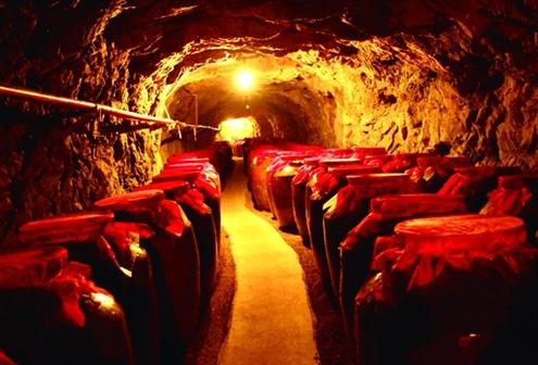 如何自建酒窖？自建酒窖造價一般是多少？
