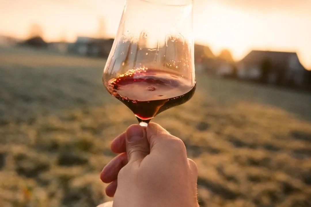 研究了12家葡萄酒企業(yè)2019年的年報(bào)后，我們發(fā)現(xiàn)了這些細(xì)節(jié)